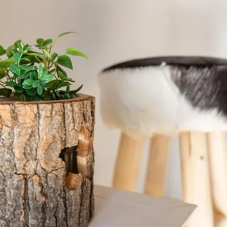 Tauernlodge Berglust ברמברג אם ווילדקוגל